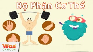 Khám Phá Các Bộ Phận Trên Cơ Thể Người Phim Hoạt Hình Mới 2020 Hoạt Hình Khoa Học Hay Nhất
