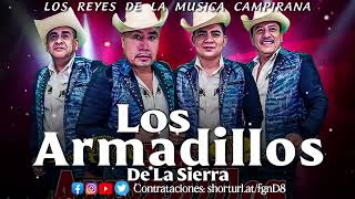 Los Armadillos De La Sierra 💿💿💿 25 Musica Exitos 💿💿💿 Corridos y Rancheras 2024