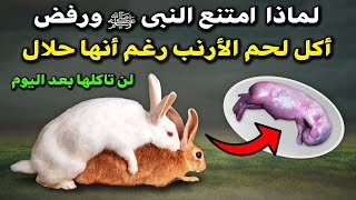 لهذا السبب امتنع النبىﷺ ورفض اكل لحم الارنب رغم انها حلال؟ وماذا اكتشف العلماء فيه ؟ لن تاكلها ابداً