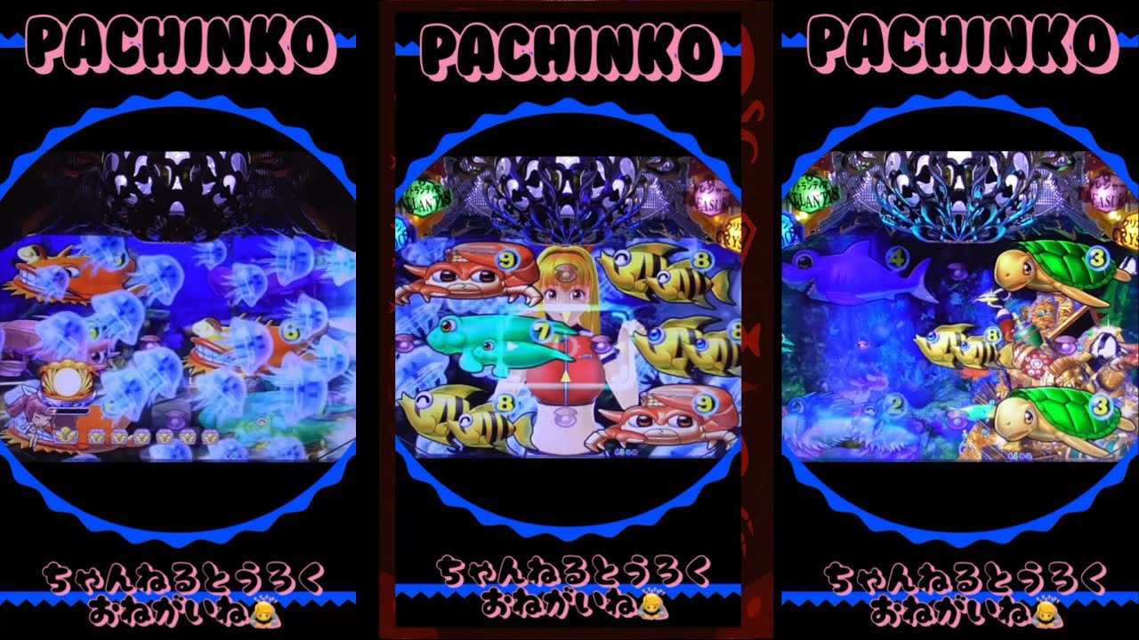 【大海物語④withアグネス•ラム】PACHINKO縦型！2026年2月16日❷実機！thanks、감사、merci