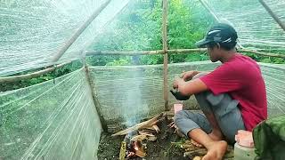 solo camping hujan deras ngopi dalam tenda plastik#solobushcrafthujanderas