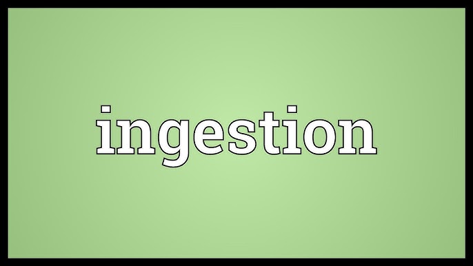 Шашты қара әйелдердің қынаптары бейнеленген порно фильмдерді онлайн көріңіз