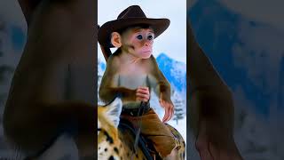 Famous Cute Baby Monkey riding cat #cute #cat #baby #monkey #viralvideo Wealth