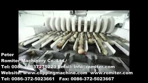 Linear Type Weigher Full Automatic Fresh Potato Net Bag Packing Plant-Romiter Machinery