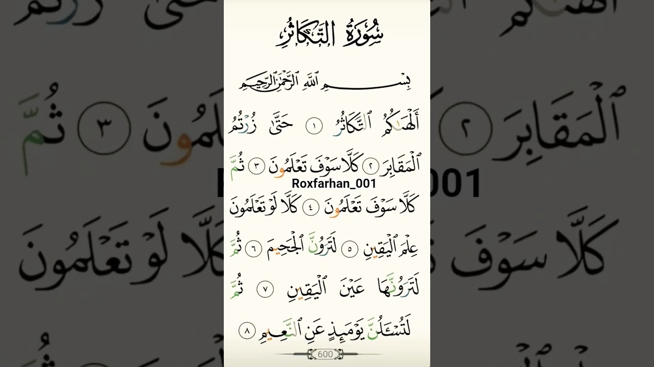 Surah At-Takathur Full | Beautiful Tilawat | Alhakumut Takasur Surah with Arabic Text 