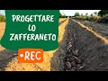 PIANTARE ZAFFERANO: come pianificare lo zafferaneto