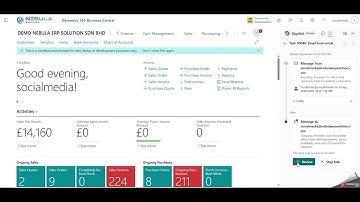 Microsoft Dynamics 365 Business Central - Sales Order Agent Setup