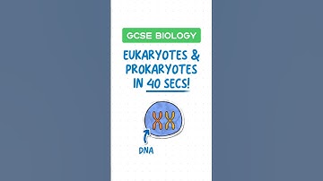 GCSE Biology - Eukaryotes vs. Prokaryotes in 40 seconds! ⏱️