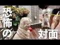 我が子が腰を抜かし動けなくなりました