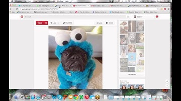 Everything You Need to Know About MaxDiff