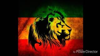 Reggae Cabeça De Gelo