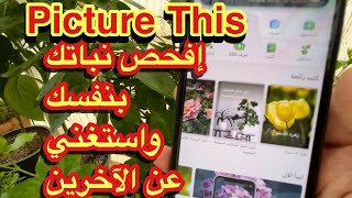 pictureThis   تطبيق مفيد جدا للعناية بالنباتات   حمل  التطبيق وتابع الشرح بالفيديو screenshot 2