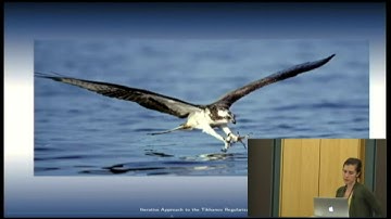 An Iterative Approach to Inverse Problems using Python