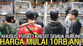 MULAI VIRAL ! BURUNG KREDITAN MURAH AMAN   BERGARANSI