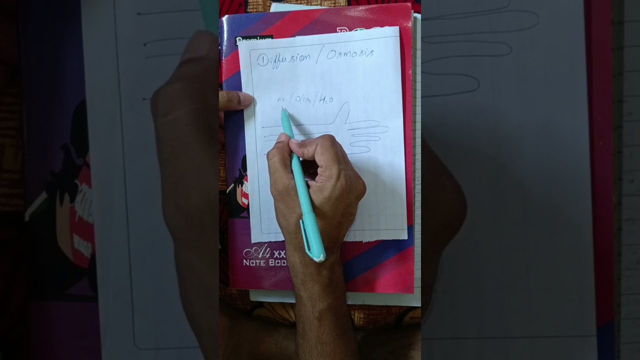 Diffusion/Osmosis in human body/ difference b/w diffusion and osmosis 