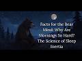 Why Bears Struggle to Wake Up: The Science of Sleep Inertia (Soothing Facts)