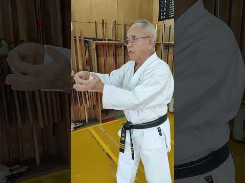 Koi No Shippo Uchi Yoko Uchi Fish Tail Wrist Blocks Takehiro Gaja Sensei Uechi Ryu Karate Hozonkai