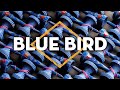 Kendama usa  craft blue bird spectra  2 tricks with ben