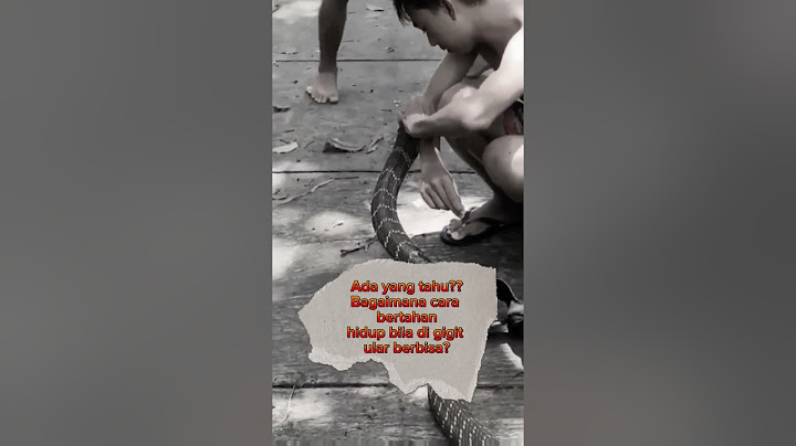 Di gigit ular berbisa, apa sajakah solusinya? 🐍 #shorts