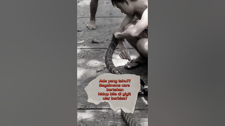 Di gigit ular berbisa, apa sajakah solusinya? 🐍 #shorts