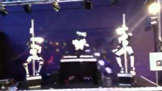 Robot pole dancers