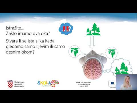 Biologija 8.r. -  Osjetilo za vid