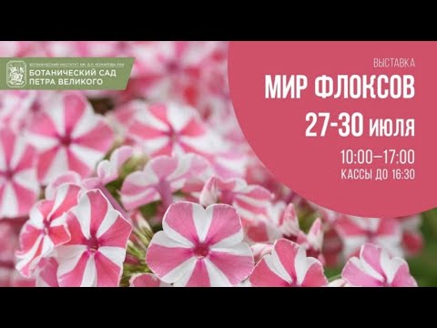 Выставка МИР ФЛОКСОВ. Санкт Петербург 2023