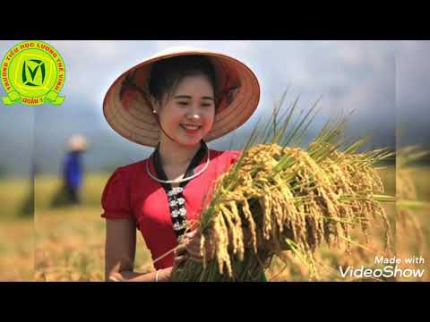 Ltv_âm nhạc 2_tuần 2_chủ đề rộn ràng ngày mới tiết 2 học hát bài ngày mùa vui