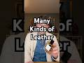 The Many Kinds of Leather Fragrances