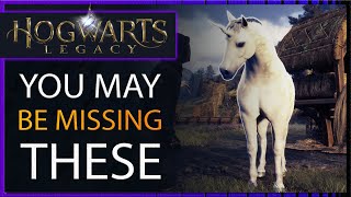Beasts - Where to Find All that Hogwarts Legacy Doesn't Point You To