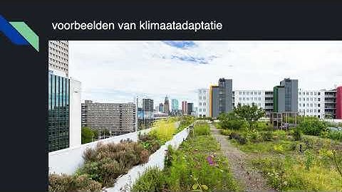 §2.2 Deltaprogramma  te veel water afvoeren