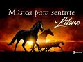 Música para Sentirse Libre, Música Instrumental, Relajante, Música Para Trabajar, Música de Fondo