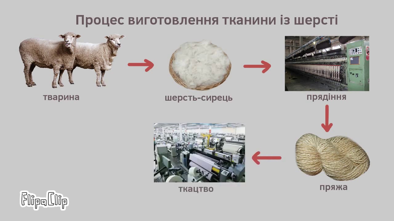 Творчий проект Натуральні волокна тваринного походження від Іванченко