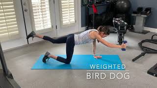 Weighted bird dog