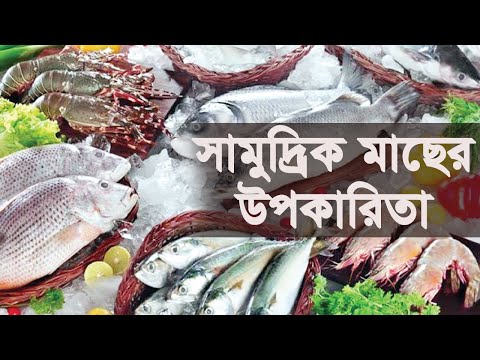 ভিডিও: সামুদ্রিক মাছ। সামুদ্রিক মাছ: নাম। সামুদ্রিক খাদ্য মাছ