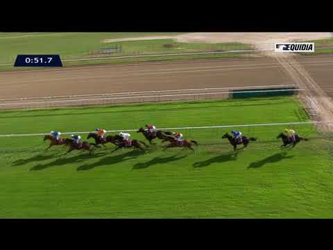 Garlingari - Qatar Prix Dollar - Chantilly - 30/09/17 - Garlingari - Qatar Prix Dollar - Chantilly - 30/09/17