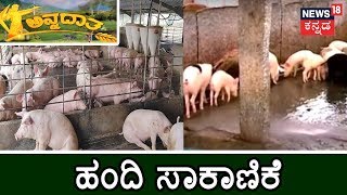ಅನ್ನದಾತ | Pig Farming Success Story | June 30, 2019