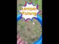 Lempar Kolong
