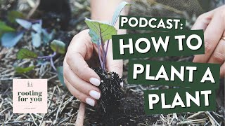 Podcast | How to Plant a Plant: a Back to Basics Guide on Planting Seedlings  [Audio Only]