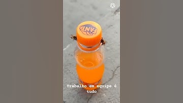 bee are getting smarter day by day || smart bee |