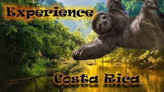 Costa Rica Road Trip Day 3  Car Camping Tortuguero  4K