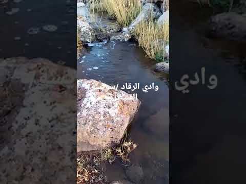 ٢٤ سبتمبر ٢٠٢٢وادي الرقاد سويسة القنيطرة