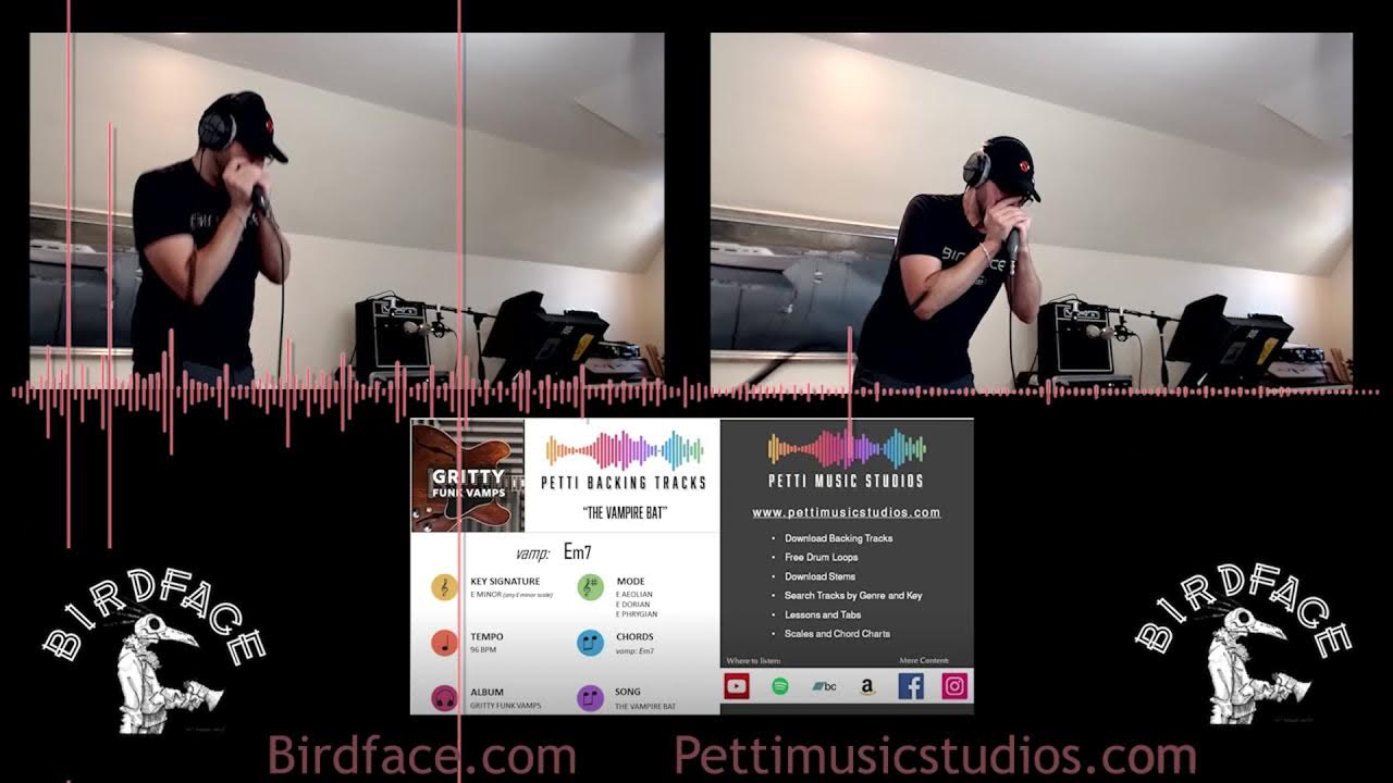 Diatonic Harmonica Jamming with a Jam Track YouTube