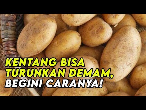 Kentang Bisa Turunkan Demam, Begini Caranya!