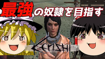 奴隷王 攻略