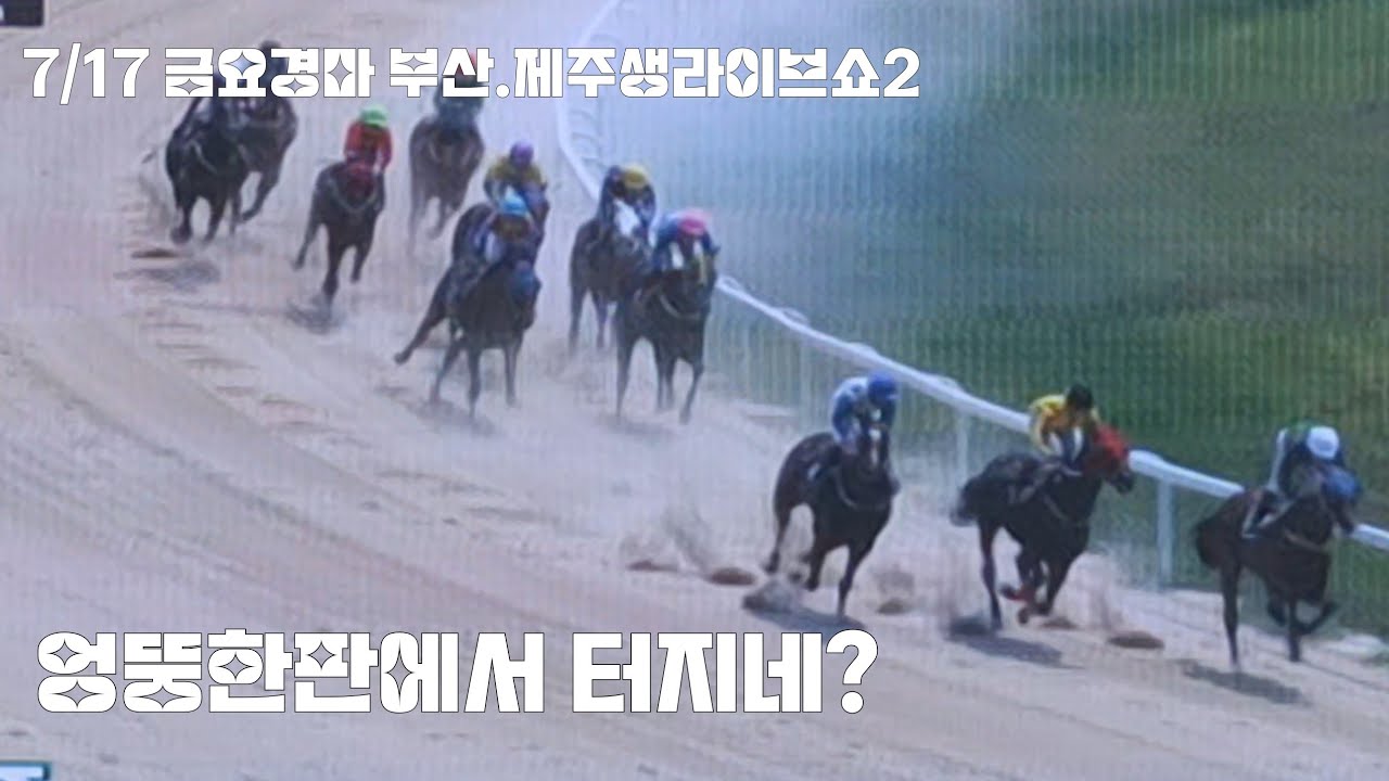 노린경주에서는 안터지고 엉뚱한판에서 터지네?(부산 3.4경주/제주3.4경주)