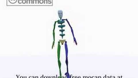 motion capture data Jump -Warmup-