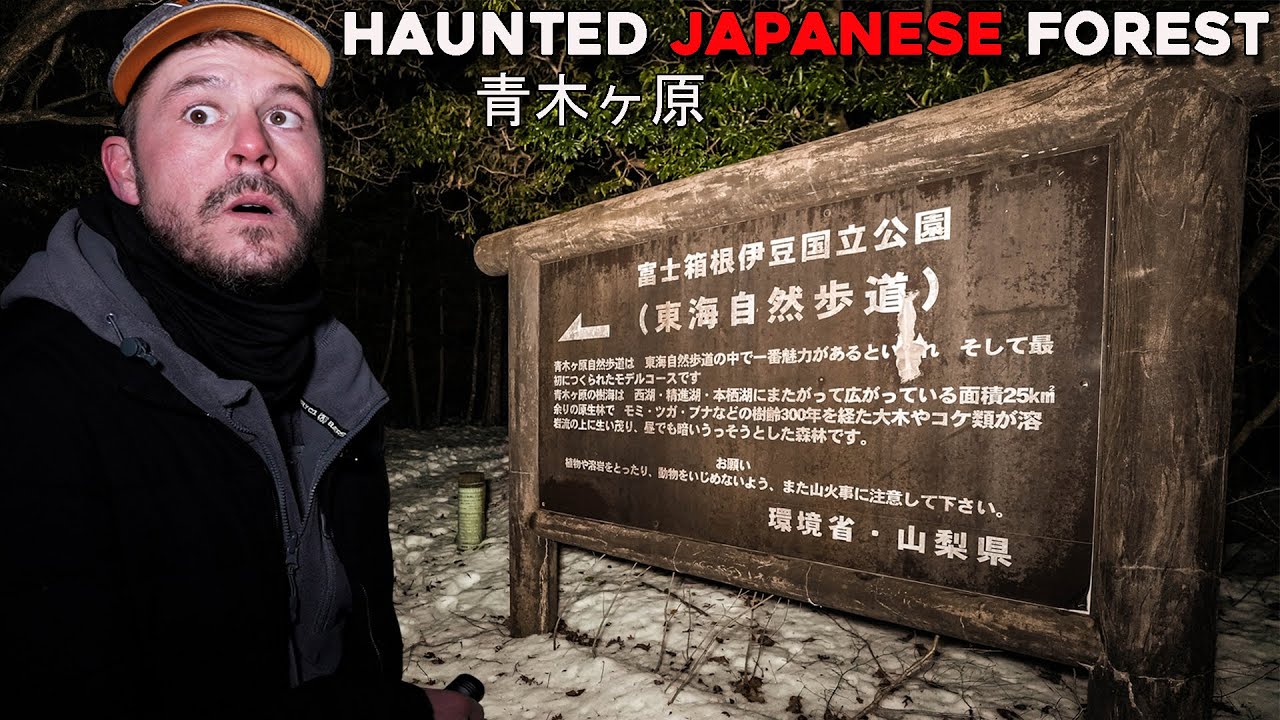 I SAW THE MOST TERRIFYING THING IN THE HAUNTED JAPANESE FOREST | AOKIGAHARA 青木ヶ原