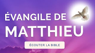 GOSPEL of MATTHEW 🙏 LISTEN to the AUDIO BIBLE (complete book)