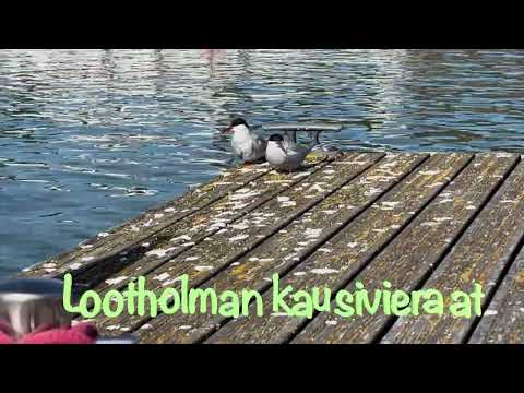 Kevät HD 1080p